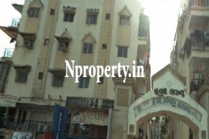 Sarthi Avenue