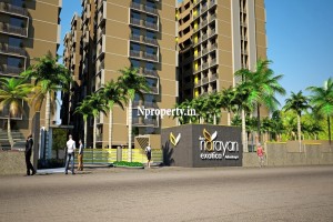 Narayan Exotica