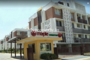 Mapple Country-2