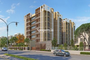 Shyam Shree Premium