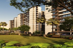 Malabar Country II