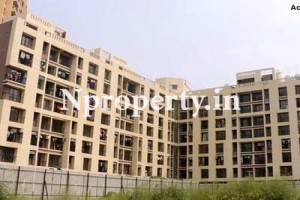 Nadkar Complex