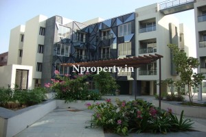 K P Courtyard 