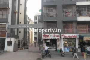 Naroda Pride Society