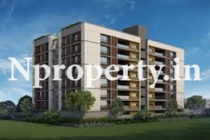 Silver Coin Apartment