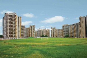 Adani Township Meadows