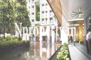 New Cuffe Parade