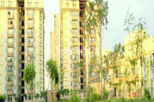 Amrapali Grand Society